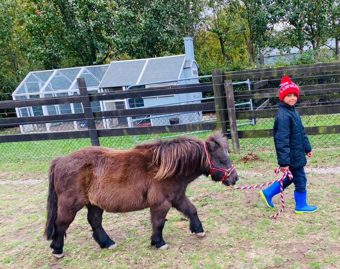 Farm Stay Maple Cottage At Wilindi Estate Tyabb Zewnętrze zdjęcie