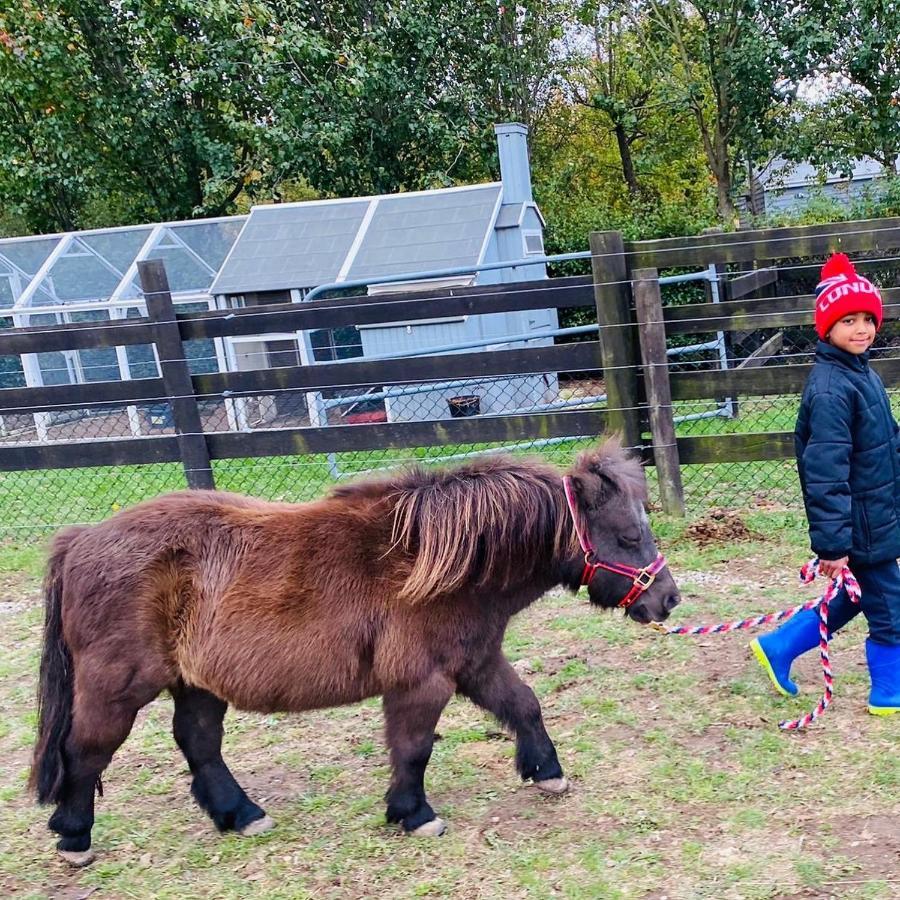 Farm Stay Maple Cottage At Wilindi Estate Tyabb Zewnętrze zdjęcie